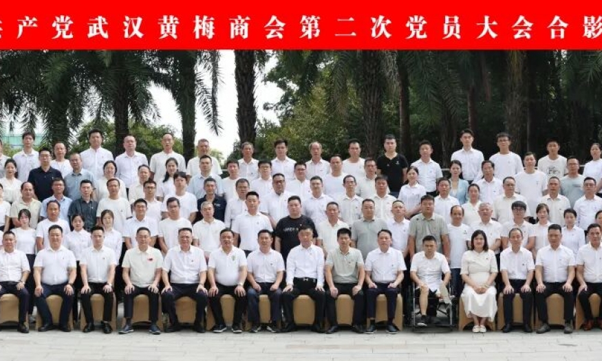 党建铸魂凝众志 并肩向前谱新篇 | 中国共产党武汉黄梅商会第二次党员大会隆重召开